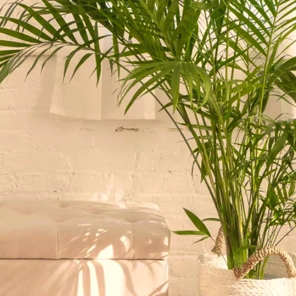 Meet your Posher, posh - Picture 1 of 1